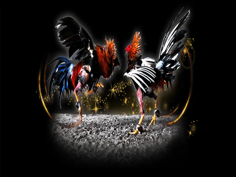 Bí Kíp Chơi Đá Gà Sabong Tại Bet66 Ăn Tiền Thưởng Cực Khủng Ngay