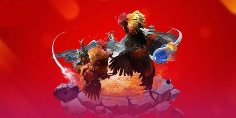 Sôi Động Cùng Sảnh Cược Đá Gà Bet66 Trực Tiếp Thomo Hấp Dẫn Nhất 1 Sôi Động Cùng Sảnh Cược Đá Gà Bet66 Trực Tiếp Thomo Hấp Dẫn Nhất