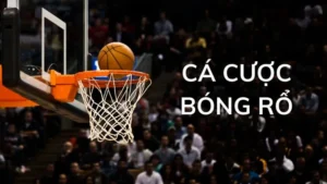 Hướng Dẫn Tìm Hiểu Cá Cược Bóng Rổ Bet66 Chuẩn Xác Nhất